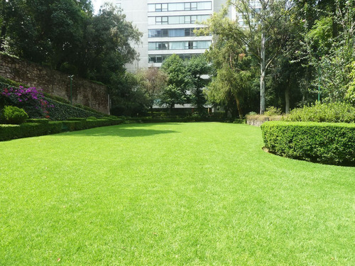 Imagen 29 de 30 de Departamento En Venta En Palmas Corinto