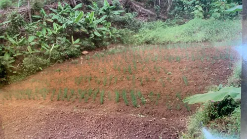 Finca En Venta En Dapa. Cod V11668