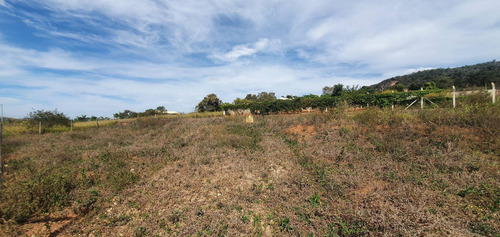 Imagem 15 de 28 de Terreno Em Esmeraldas - Te00533 - 71042734