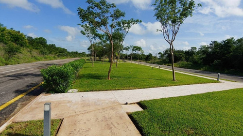 Imagen 2 de 10 de Lotes Residenciales Listos Para Construir En Privada, Entrega Inmediata.