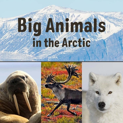 Libro Big Animals In The Arctic: English Edition - Inhabi...