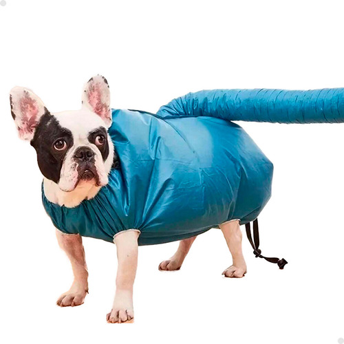 Capa Seca Pelo Cachorro Secagem Cão Pet Shop Tam M 13 A 22kg Cor Médio