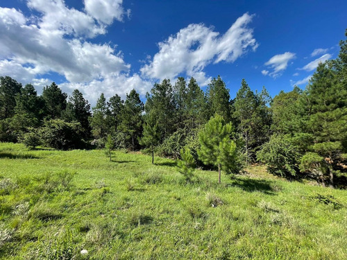 Se Vende Lote De 4 Hectareas En San Clemente