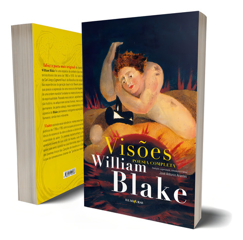 Visões: poesia completa, de Blake, William. Editorial Editora Iluminuras Ltda., capa mole em português/inglês, 2020