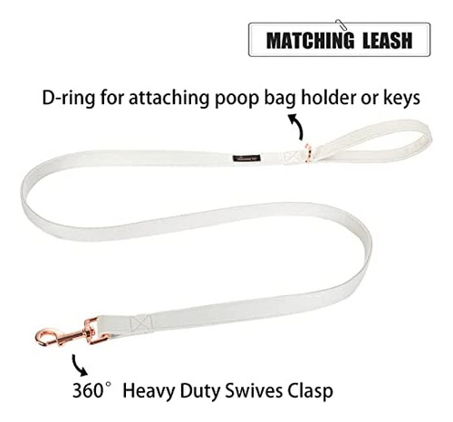 Aring Pet Collar Para Perro Y Correa De Algodón Blanco Para
