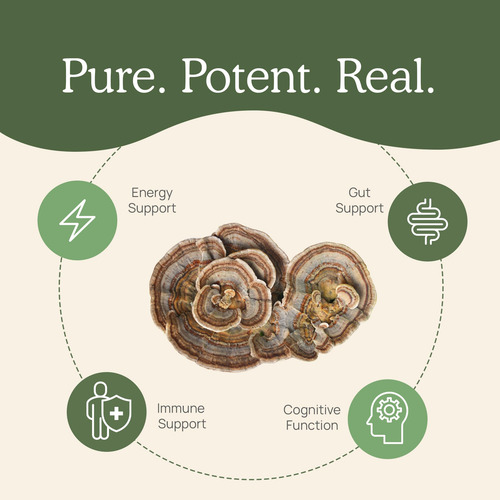 Real Mushrooms Polvo Turkey Tail Orgánico 100 Dosis Vegano