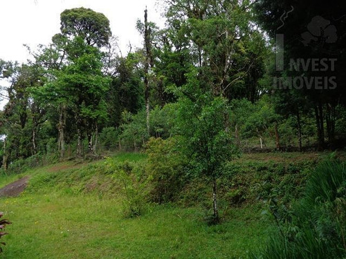 Imagem 8 de 14 de Cód 3023 - Lindo Sitio Para Quem Busca Tranquilidade. - 3023