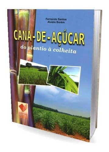 Cana-de-açúcar Do Plantio À Colheita