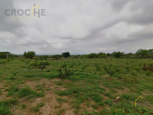 Imagen 1 de 8 de Terreno De 1.8 Hectáreas Con Producción De Limón En Tuzamapan, Coatepec, Veracruz
