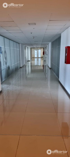 Planta Libre En Alquiler 1500 Mts- Ciudad Gama - Av. Colón Al 5000