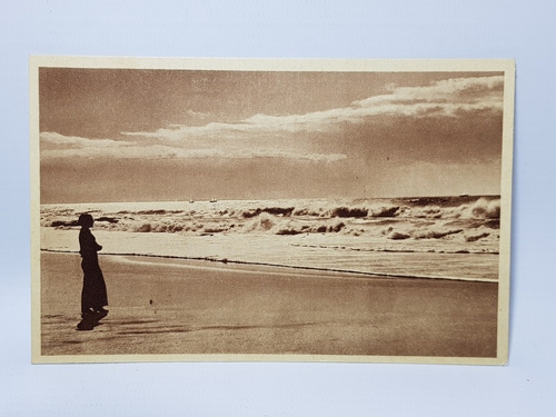 Antiguas Postales Mar Del Plata Lote X 3 Mag 56839 (Usado)
