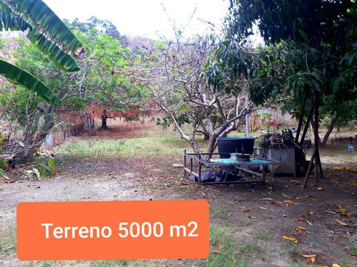 Imagen 11 de 12 de *se Vende Ferreteria Ubicada San Diego En La Variante Barbula Valencia