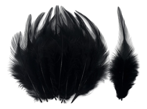 Plumas De Gallo Negras Para Manualidades, Atrapasuenos, Con