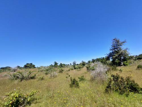 Oportunidad En Isla Huapi Abtao