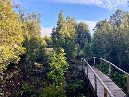 Imagen 6 de 19 de Parcela Casa Puerto Varas/ Región De Los Lagos
