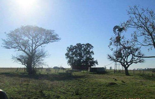 Imagen 5 de 14 de Campo En Venta En Concepcion Del Uruguay