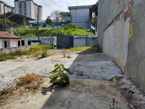 Imagem 3 de 7 de Terreno Plano Com 400m2 (faz Frente A U.b.s Vila Moraes)