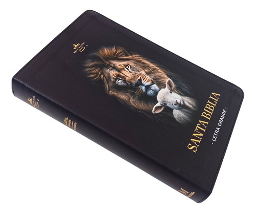 Biblia Reina Valera 1960 Letra Grande Cordero/león - Índice