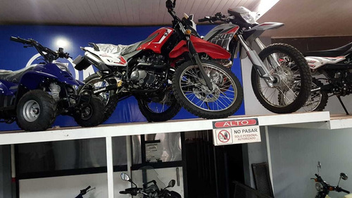 Imagen 7 de 10 de Motomel Skua 150 V6