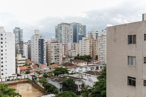 Apartamento Para Aluguel - Ponta Da Praia, 1 Quarto, 52 - 893303200