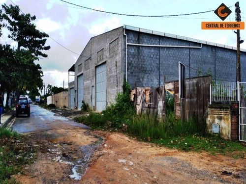 Imagem 7 de 15 de Terreno Próximo Ao Bosque Da Paz - Te00443 - 69487473