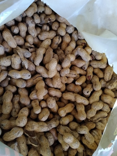 Maní Con Cascara Tostado