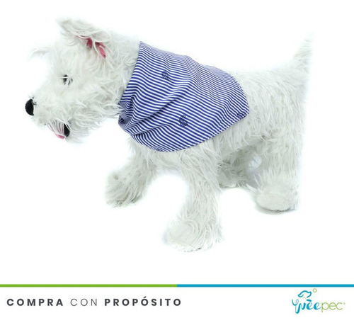 Imagen 2 de 3 de Paliacate Ameba Azul (s)
