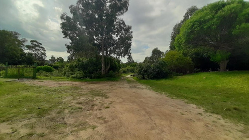 Imagen 25 de 29 de Propiedad En Zona Tranquila Y Pocas Cuadras De La Playa