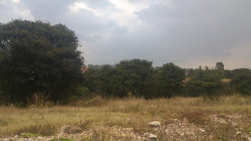 Venta De Terreno Residencial, Campestre Haras, Junto A Reserva Ecológ