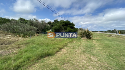 Terreno En La Juanita - José Ignacio 