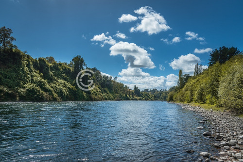 Imagen 7 de 21 de Parcelas A 18 Km De Rio Bueno Con Orilla De Rio