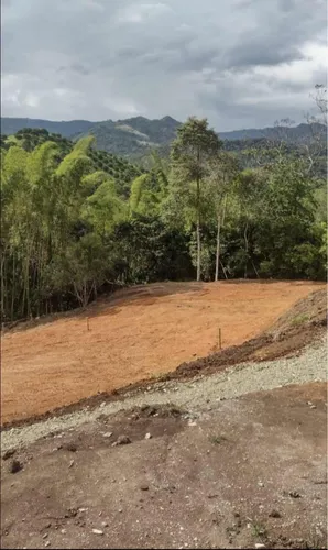 Lote 2.310 Mts2 A Media Hora De Manizales