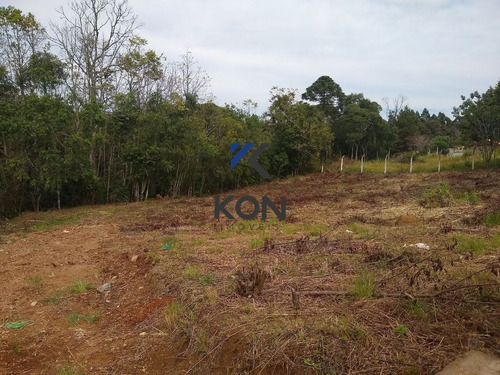 Imagem 10 de 16 de Chácara À Venda Em Contenda Pr. - Ch00001 - 68838246