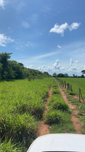 Imagem 10 de 14 de Vendo Fazenda 2900 Hectares Regiao De Cocalinho (6120)