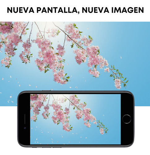 Pantalla Completa Display Compatible iPhone 8g A1863, A1905