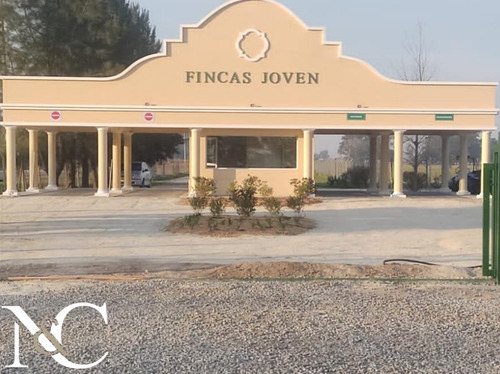 Imagen 2 de 5 de Lote En Venta En Fincas Joven
