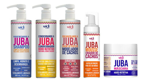 Kit Widi Care Juba Cond+sh+cr Pentear+másc Hidro+mousse