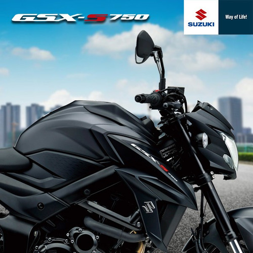 Suzuki Gsx S750 A