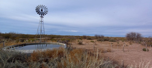 Imagen 10 de 19 de Campo 5000 Ha En El Dpto. Limay Mahuida- La Pampa