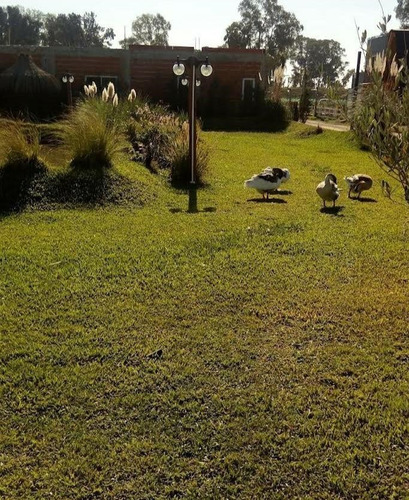 Imagen 11 de 21 de Terreno Lote En Venta Ubicado En General Rodríguez, G.b.a. Zona Oeste
