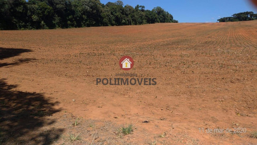 Imagem 9 de 11 de Área Para Venda Em Contenda, Contenda - Ar0613_2-1449826