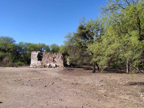 Hectárea Única Cercana Al Pueblo