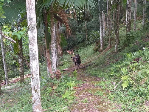 Imagem 13 de 14 de Bela Chácara Linda Vista Represa Ref 1198