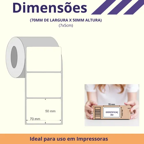 10 Rolos Etiquetas Termica 70x50 7x5 Zebra Argox Elgin | MercadoLivre