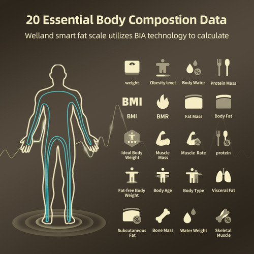 Escala De Bioimpedancia 8 Electrodos Digital Body Scan Bt