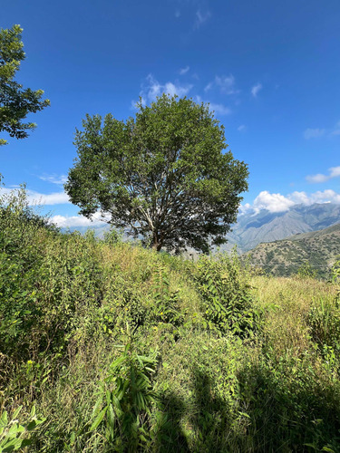 Lote Barato 7ha Venta Liborina Antioquia