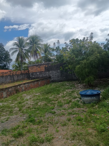 Terreno Frente Rua De 200m² Em Ponta De Areia - Itaparica/ba A 1km Da Orla.