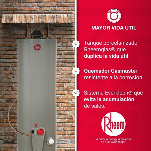 Calentador De Acumulación A Gas 38 Litros Color Gris