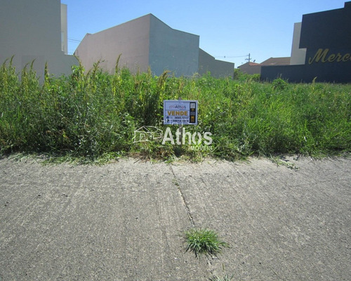 Imagem 5 de 10 de Vende-se: Oportunidade Única, Terreno Comercial Jardim Dos Colibris, Indaiatuba/sp - Tr02030 - 32150381