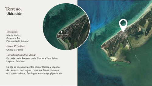 Imagen 3 de 17 de Pre Venta Lofts Y Penthouses Yum Balam En Holbox